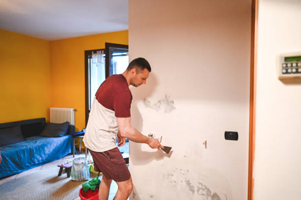 Mold Removal and Inspection in Roxboro, NC